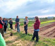 Eine Gruppe von Menschen auf einem Feld diskutiert, umgeben von Salat-Reihen auf Feldern.