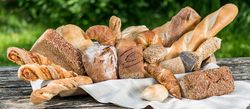 Bio-Käsespezialitäten