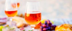Wein & Käse