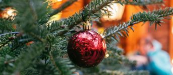 Team von Lotta Karotta