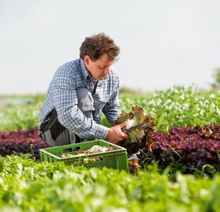 Unsere Landwirte & Erzeuger aus der Region und was sie so besonders macht