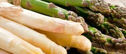 Spargel-Zeit