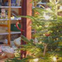 Weihanchtsbaum LOTTA