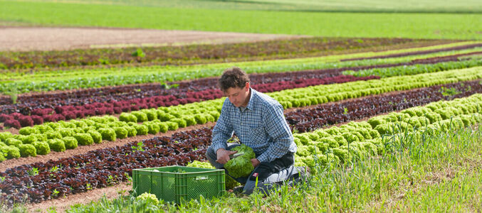 Unsere Landwirte & Erzeuger aus der Region und was sie so besonders macht.