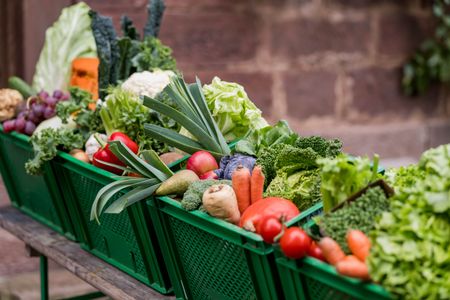 Bio-Kisten mit regionalem Gemüse und Obst