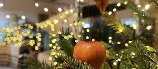 Vielfalt durch Regionalität