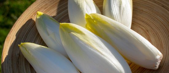 Vielfalt durch Regionalität