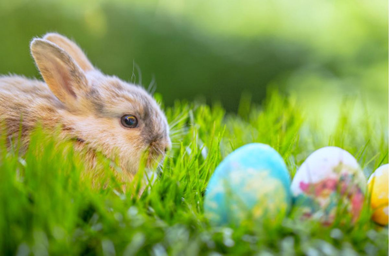 Allerlei für´s Osternest