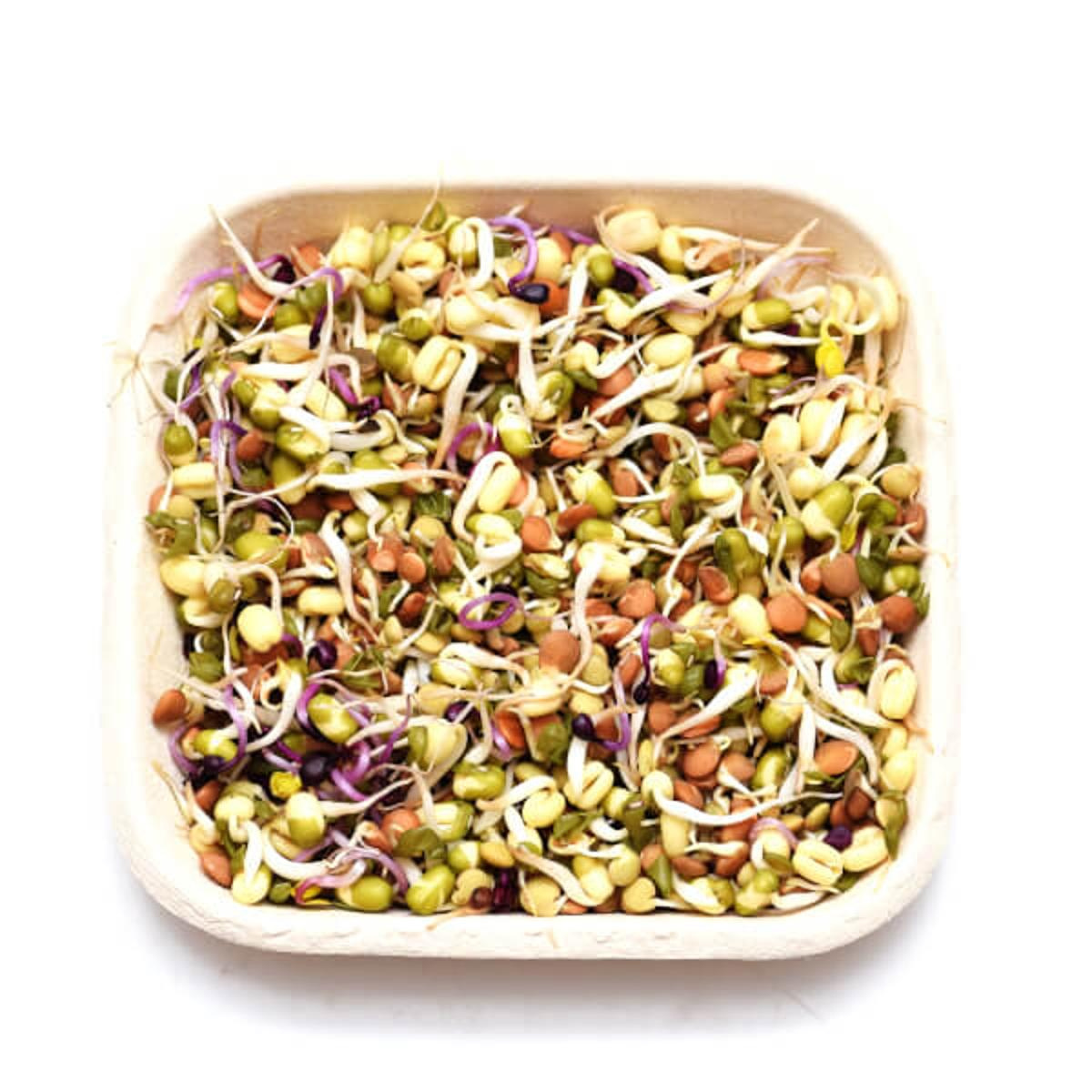 Sprossen Gourmetmischung 125g