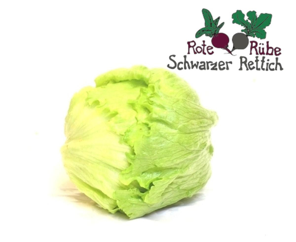 Produktfoto zu Salat, Eissalat