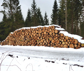 Holzstapel 