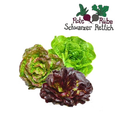 Produktfoto zu Salat der Woche Klein