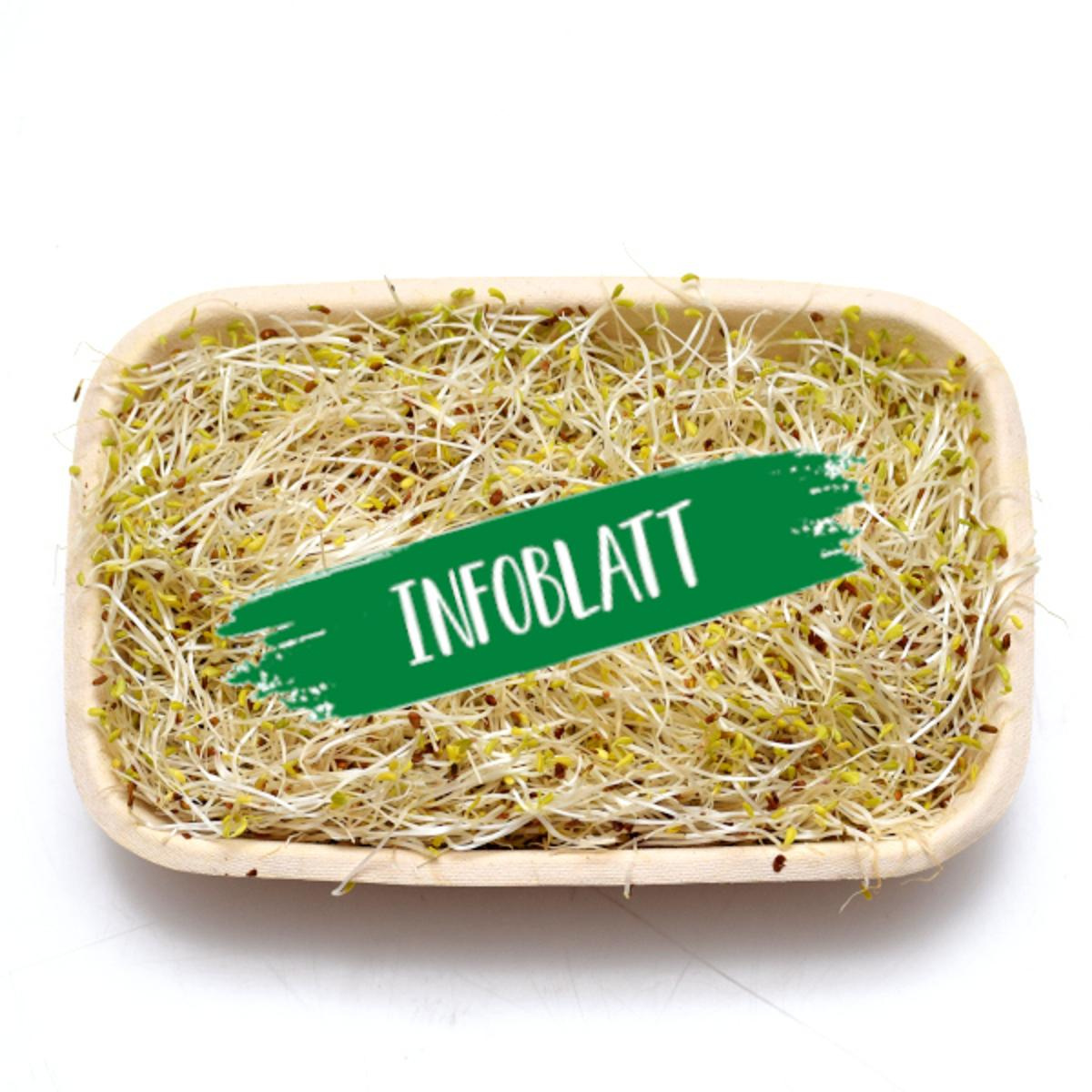 Infoblatt Alfalfa Sprossen