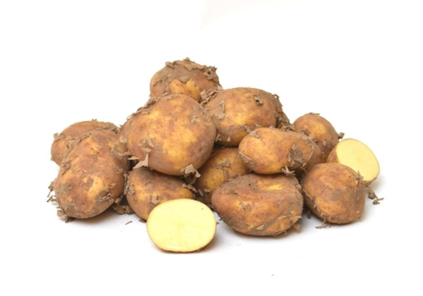 Produktfoto zu Frühkartoffel festkochend ca.2kg