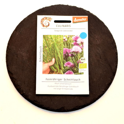 Produktfoto zu Schnittlauch - Saatgut aus Rosdorf