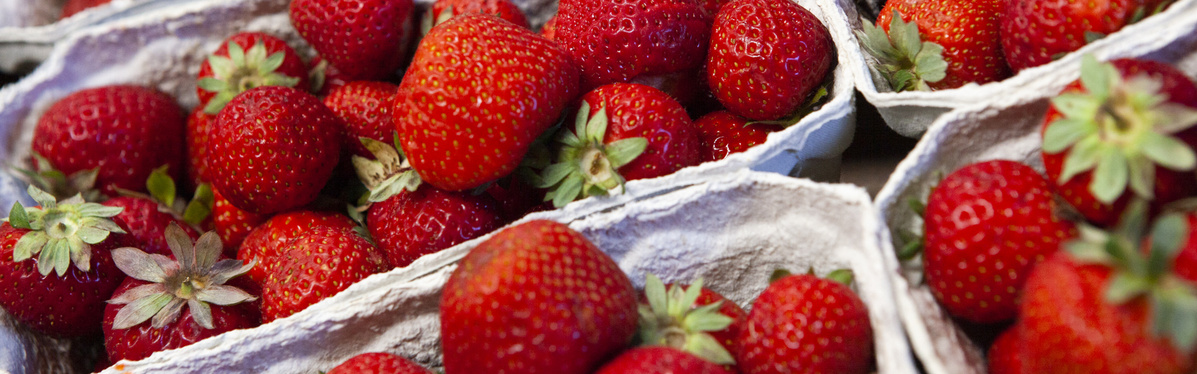 KI generiert: Frische Erdbeeren in Kartonschalen.
