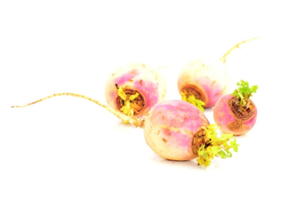 Produktfoto zu Rübchen violett