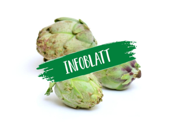 Produktfoto zu Infoblatt Artischocken