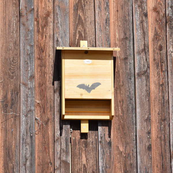 Fledermauskasten fertig montiert