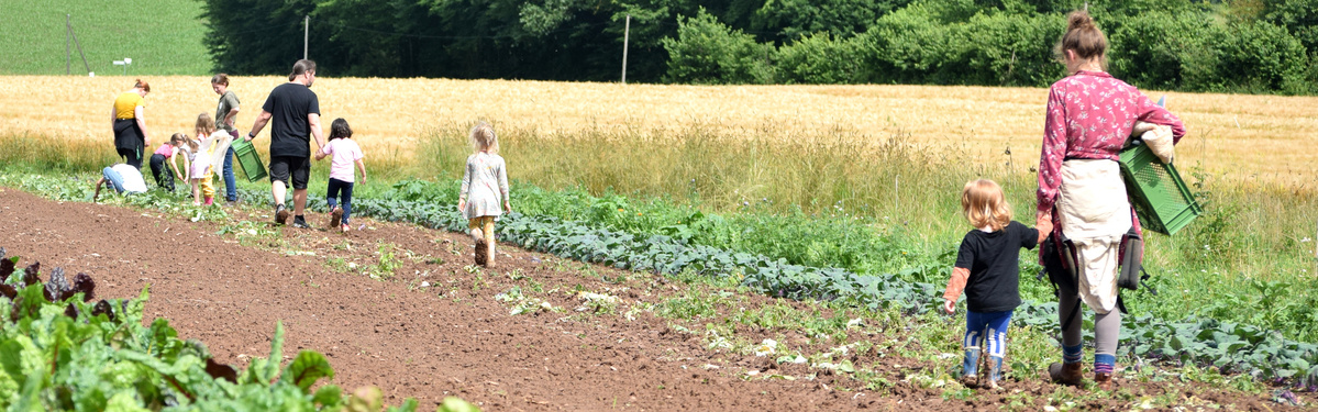 Familien ziehen aufs Feld zur Ernte