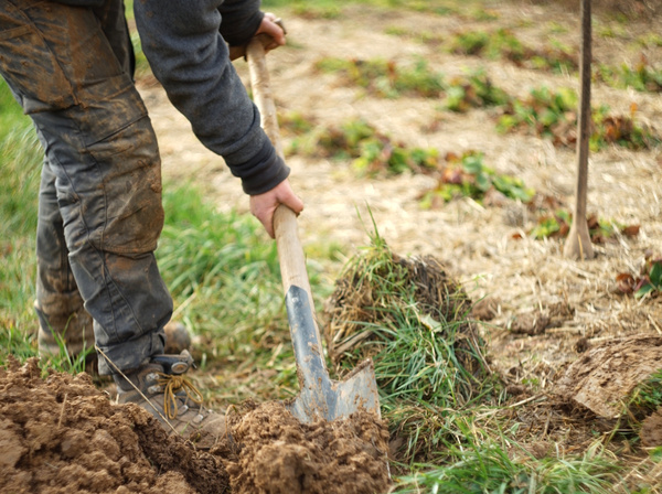  Zwei Personen halten ein Schild mit der Aufschrift: "MULTIKULTUR STATT MONOKULTUR" bei einer Versammlung.