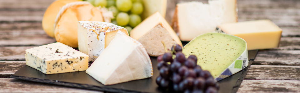 Alles Käse: Lager- & Verzehrempfehlungen rund ume unsere Bio-Käsespezialitäten
