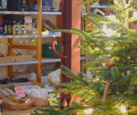 Weihnachtsbaumverkauf Lotta Karotta