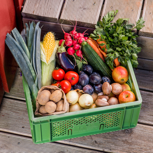 Unsere geplanten Gemüse- & Obstkisten