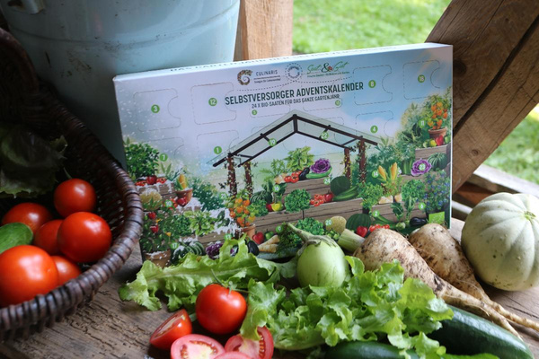 Produktfoto zu Saatgut-Adventskalender von Culinaris