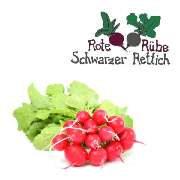 Produktfoto zu Radieschen Bund, rund