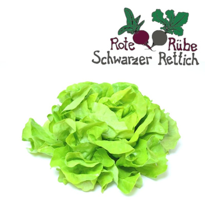 Produktfoto zu Salat, Kopfsalat