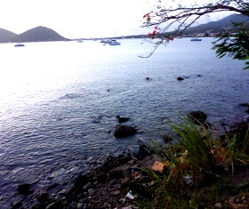 Strand mit Müll in Dominica