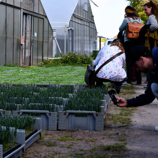 Gärtnerei Gut Wulsdorf