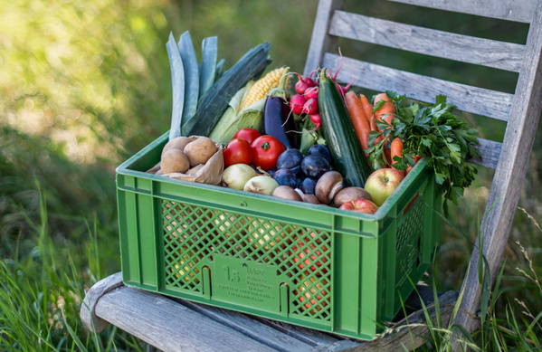 KI generiert: Grüne Kiste mit frischem Obst und Gemüse auf einem Stuhl im Freien.