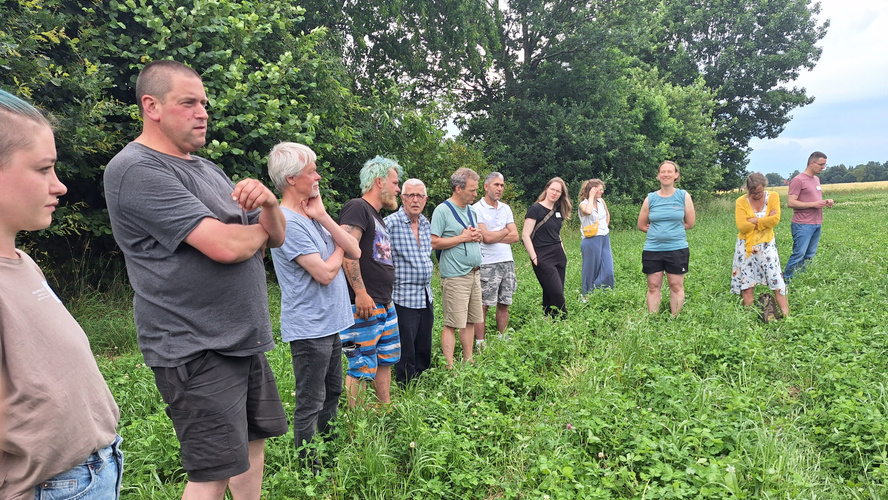 Dieskussionsrunder der Ökokisten-Teilnehemr auf dem Acker vpm lohmannshof