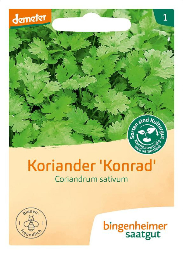 Produktfoto zu Koriander Saatgut