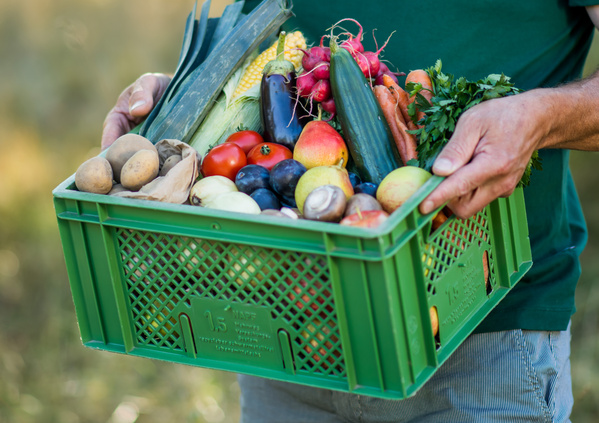 KI generiert: Eine grüne Kiste voller frischem Obst und Gemüse wird von einer Person getragen.