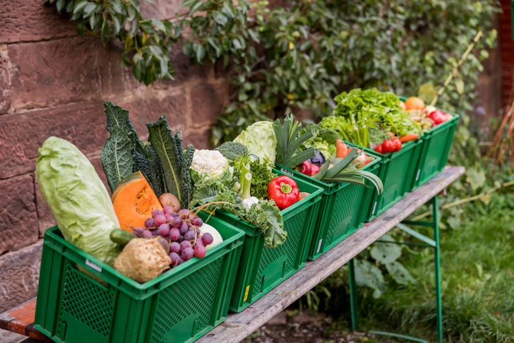 KI generiert: Grüne Kisten voller frischem Gemüse und Obst auf einem Tisch im Freien.