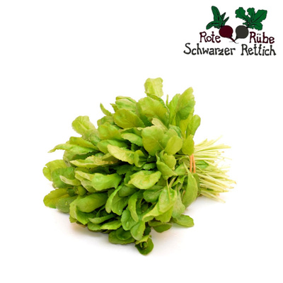 Produktfoto zu großblättrige Kresse