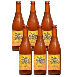 Produktfoto zu Kiste Apfel-Ingwer-Saft 6*0,7l