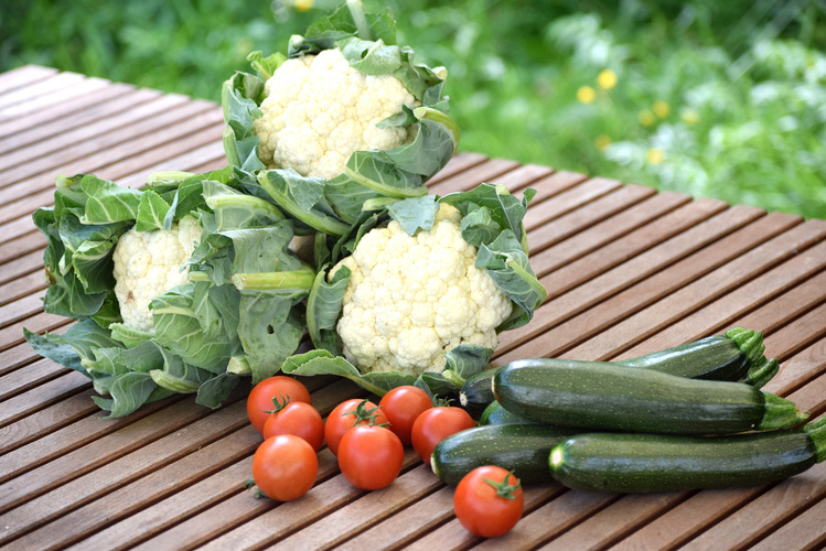 Neues aus der Region