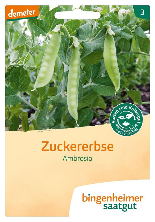 Produktfoto zu Zuckererbse Saatgut