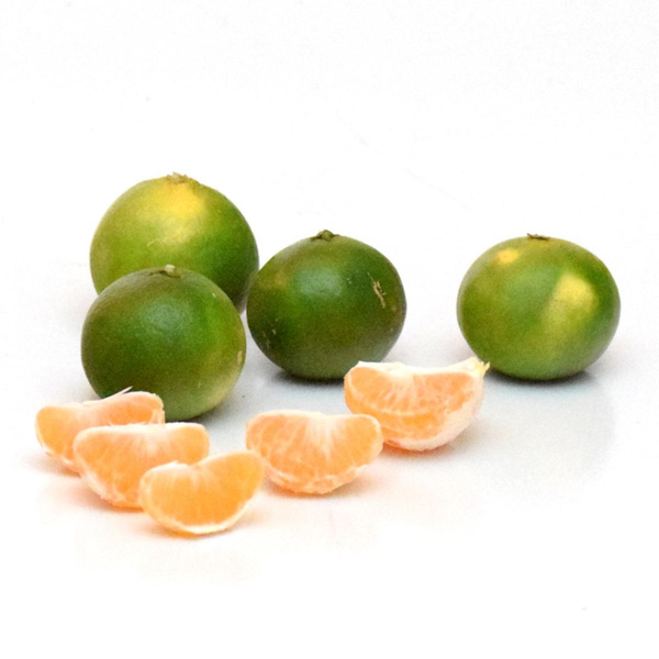 Produktfoto zu Satsuma grün