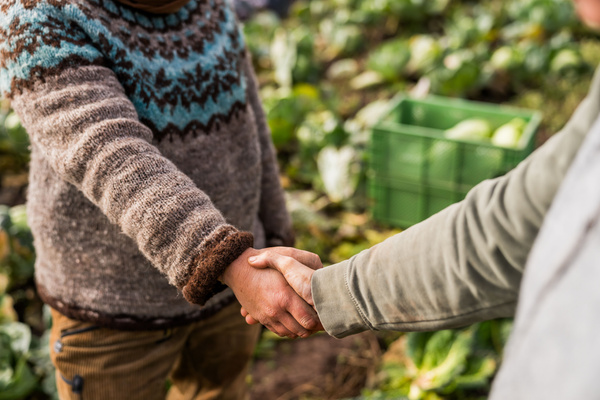 KI generiert: Zwei Personen geben sich die Hand auf einem Feld mit Gemüse.