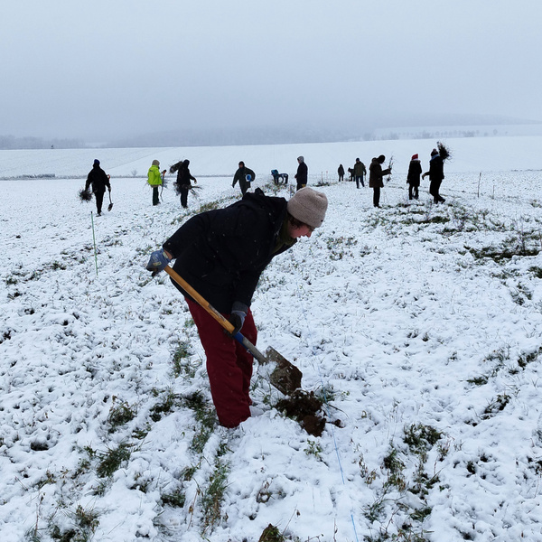 Fleißige Helfer*innen
