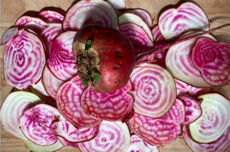 Neuheiten & Besonderes