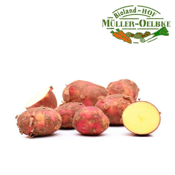 Produktfoto zu Kartoffel vorwiegend festkochend ca. 1kg
