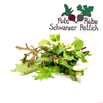 Produktfoto zu Salat-Tüte Herbstmix 100g Tüte