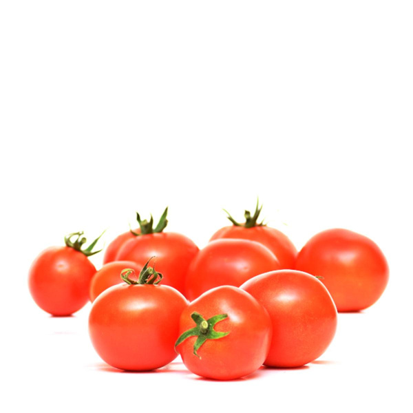 Produktfoto zu Verarbeitungstomaten