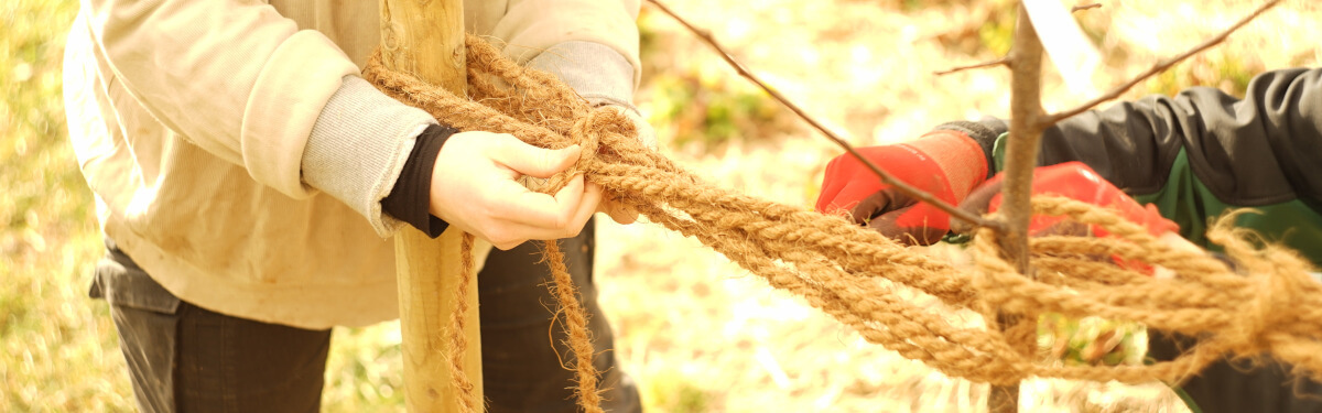 Baum-Pflanzaktion 2022